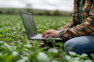 Close up hand Farmer uses laptop on field background, application of new technology in agriculture business. photo