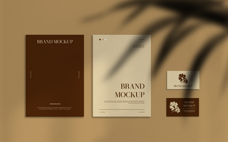 Two Brochures and Card Elegant Mockup Design Minimalist Style with Shadow psd