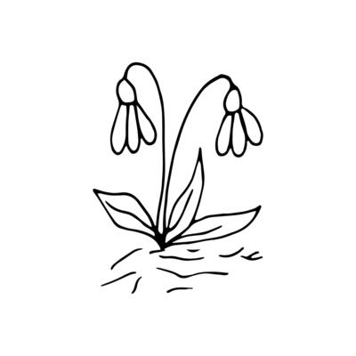 Cute single hand drawn flowers snowdrop. Spring blossom. Doodle illustration for wedding design, logo, greeting card and seasonal Easter design.