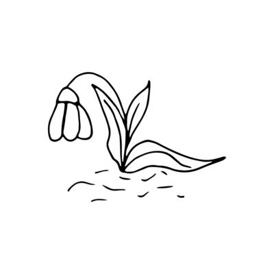 Cute single hand drawn flowers snowdrop. Spring blossom. Doodle illustration for wedding design, logo, greeting card and seasonal Easter design.
