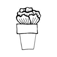 Cute hand drawn element of flower pot. Doodle illustration house plants for wedding design, logo and greeting card. Isolated on white background. vector