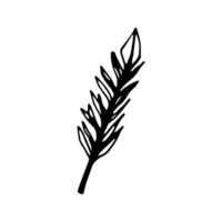 Single doodle elements feather. Hand drawn symbols writing and magic. Isolated on white backdrop. vector