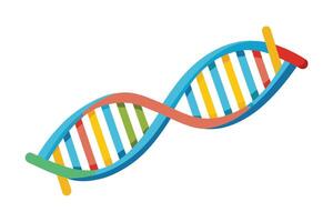 A digital illustration of a double helix DNA molecule in a colorful, cartoon style. vector