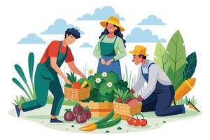 An illustration of three farmers harvesting vegetables in a garden on a sunny day. vector