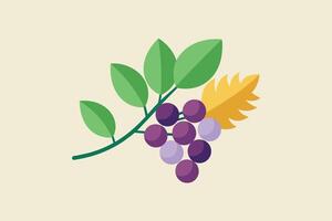 A digital illustration of a green branch with purple berries and a yellow leaf. The branch is shown against a light beige background. vector