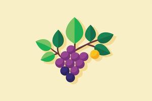 A flat illustration of a grapevine with a cluster of purple grapes and a single yellow fruit on a light yellow background. vector