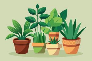 An illustration of five potted plants, each with unique foliage and pot designs. The plants are positioned in a row against a light green background. vector