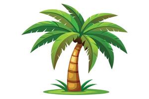This image shows a single palm tree with lush green leaves and a brown, segmented trunk. It is set against a white background. vector