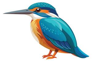 The artwork shows a colorful kingfisher bird in profile, with blue and orange plumage, against a white background. Its wings are folded. vector