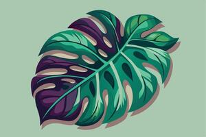 A digital illustration of a green and purple Monstera leaf on a light green background. The leaf is detailed and textured, creating a realistic appearance. vector