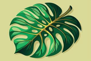 A digital illustration of a single green Monstera leaf with gold veins against a light green background. vector