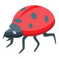 Red ladybug walking with black spots and legs isometric view vector