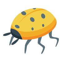 Yellow ladybug walking with black dots isometric view vector
