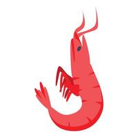 Red shrimp swimming with tail up in water vector