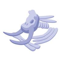 Triceratops skull and bones dinosaur skeleton posing vector