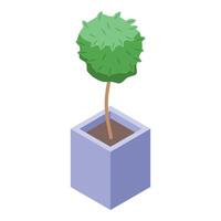 Round shaped bonsai tree growing in a square pot isometric icon vector