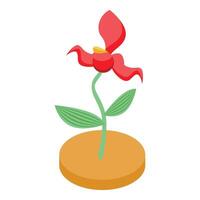 Red flower growing from a coin in isometric view vector