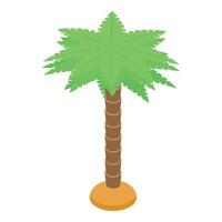 Green palm tree growing on white background isometric view vector