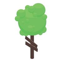 Green tree standing near empty wooden signpost isometric view vector