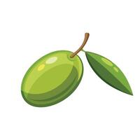 Olive fruit flat illustration on white background. vector