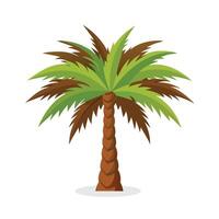 Date palm tree flat illustration on white background. vector