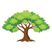 Amla tree flat illustration on white background vector