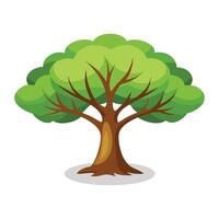 Peepal Tree flat illustration on white background vector