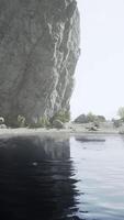 Sunlight streaming through the trees in a lush forest video