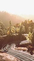 A serene country road lined with trees and a rustic fence in the distance video