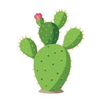 Prickly Pear fruit flat illustration on white background vector