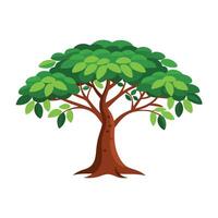 Tamarind Tree flat illustration on white background vector