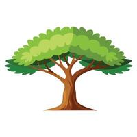 Sal Tree flat illustration on white background vector