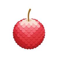 Lychee fruit flat illustration on white background vector