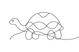 Tortoise line with illustration on white background vector