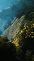 Sunset in mountain with green grass and trees video