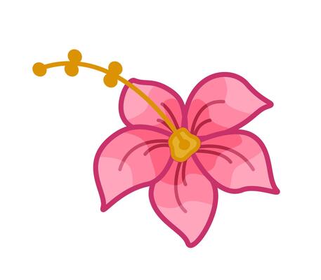 Flower゜・*:.。❁ Entranced Meadow Floral Design in Saskatoon, SK - QUINN