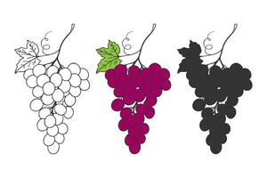 Grape set bunches of grapes in outline, colors and dark silhouette style. vector