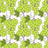 Pattern with green yellow grape on white background. vector