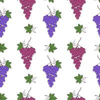 Grape seamless pattern on white background, contour doodle drawing of grape berries and leaves. vector
