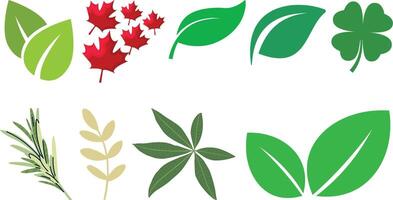 Leaf icon set collection vector
