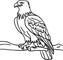 Illustration line art work of Eagle vector