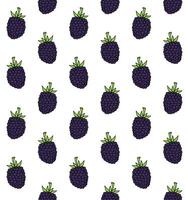 Seamless pattern of sketch blackberry vector