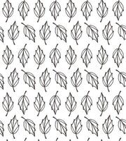 Seamless pattern of different leaves vector