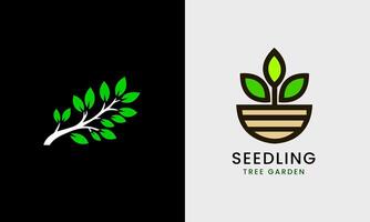 tree saplings, tub plants, seedling trees, tree leaves, flower garden vector