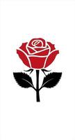 a red rose is shown in the middle of a white background vector