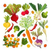 Vegetable set. Summer vegetables and greenery on light background. Tomato, carrot, pepper, beetroot, broccoli, radish, rutabaga, turnip, spinach. vegetables isolated on white background vector