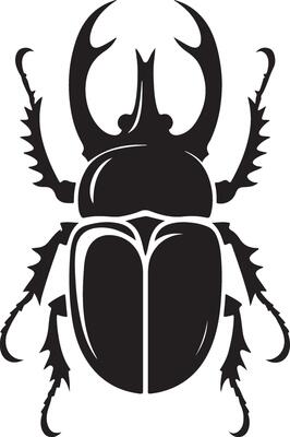 beetle silhouette, insect, white background, isolated