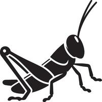 Grasshopper silhouette, Grasshopper illustration, Grasshopper isolated on white background vector