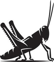Grasshopper silhouette, Grasshopper illustration, Grasshopper isolated on white background vector