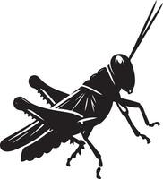 Grasshopper silhouette, Grasshopper illustration, Grasshopper isolated on white background vector